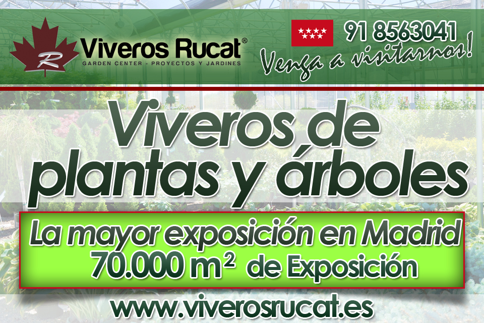 viveros madrid
