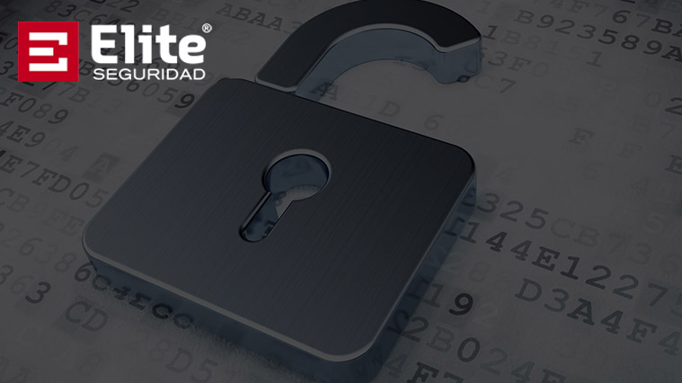empresa seguridad electronica